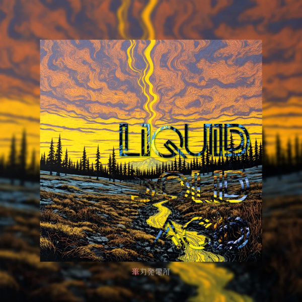 「Liquid Solid Acid」のジャケット